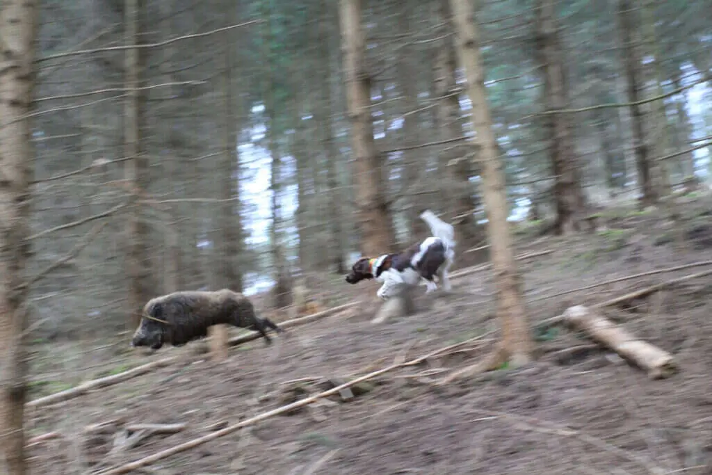 IMG 7828 1024x683