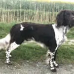 17 0047 jack von lindern nord
