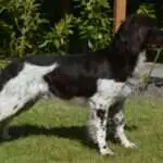 18 0640 yukon von der langenfohrde