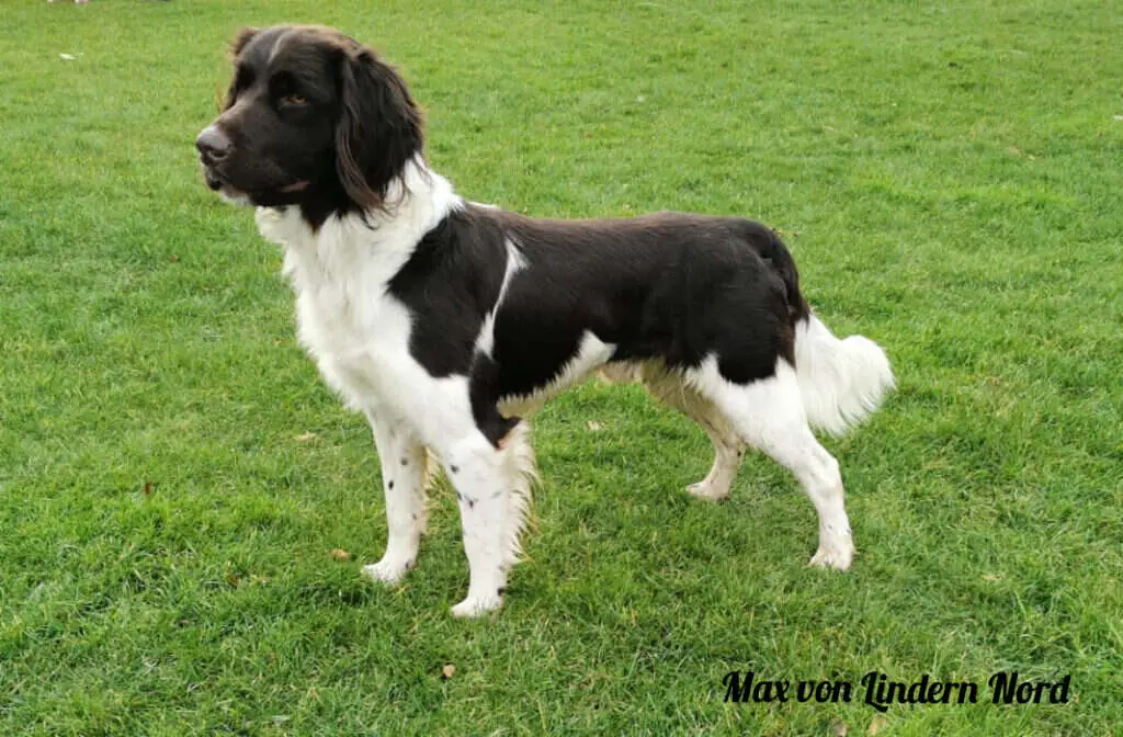 18 0937 max von lindern nord