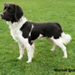 18 0937 max von lindern nord