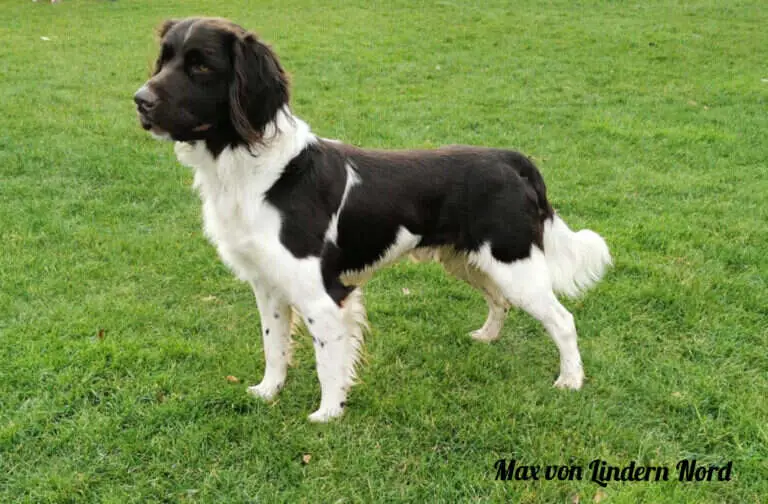 18 0937 max von lindern nord