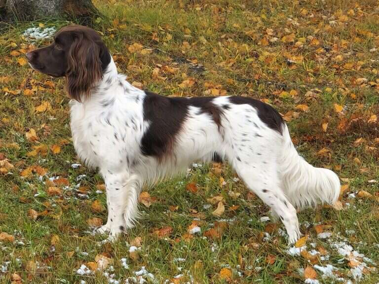 19 1010 flynn vom gusseisen scaled 1