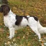 19 1010 flynn vom gusseisen scaled 2