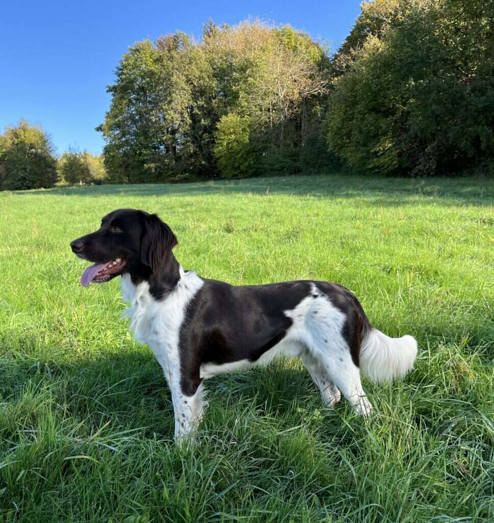 20 0010 uno von der guenz