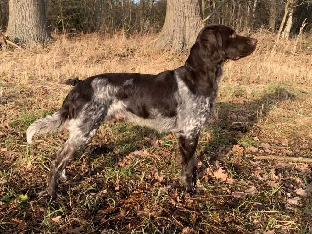 21 0327 ares vom beekegrund scaled 1