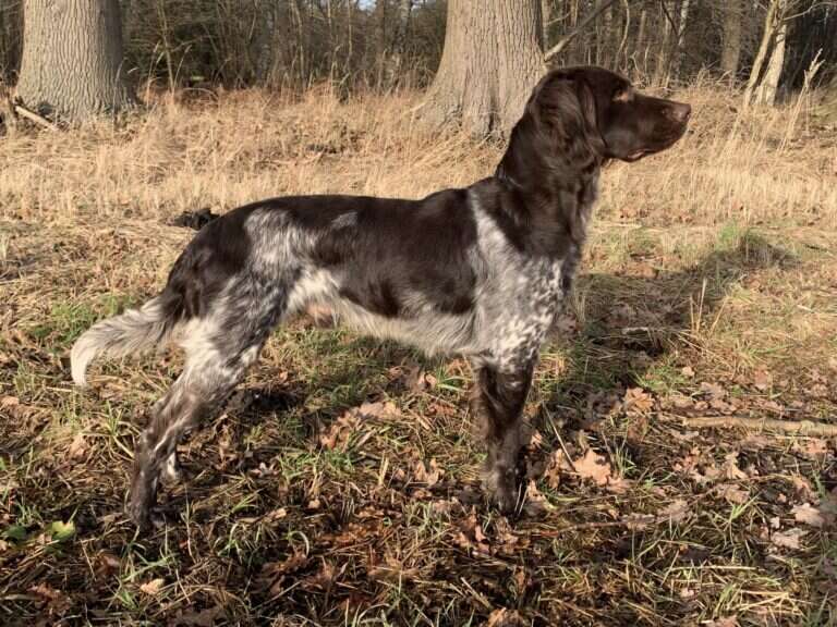 21 0327 ares vom beekegrund scaled 1