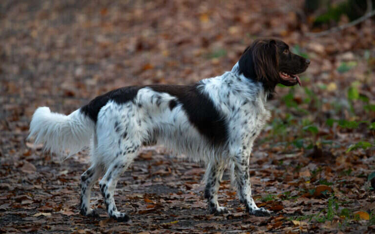 21 1126 isko von der wieke scaled 1