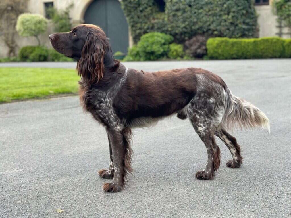 21 1212 faxe von der oorde scaled 1