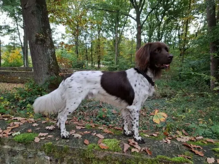 23 0776 felix vom bernstein scaled 1