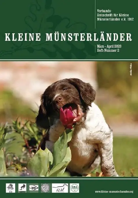bild 2 23