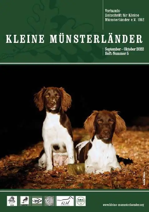 bild 5 22