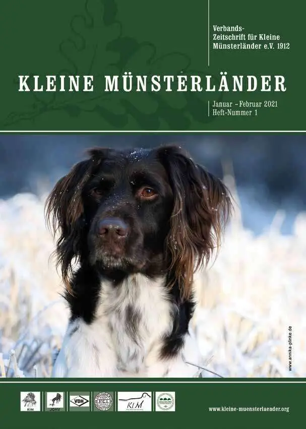 bild heft 1 2021
