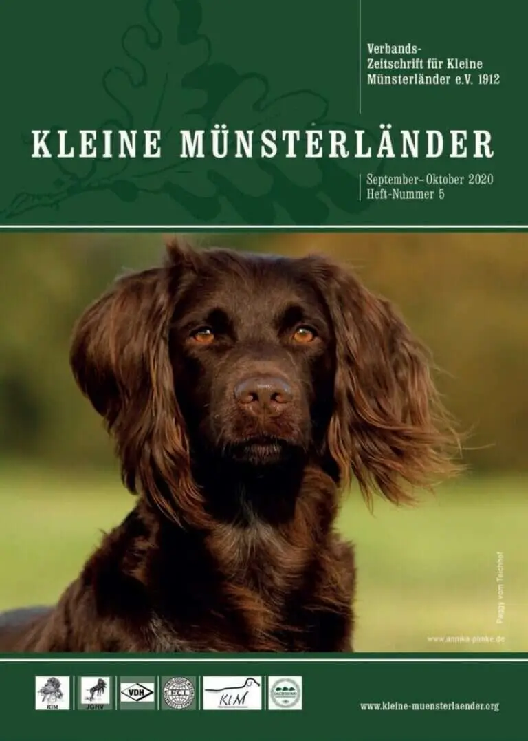 bild heft 5 2020