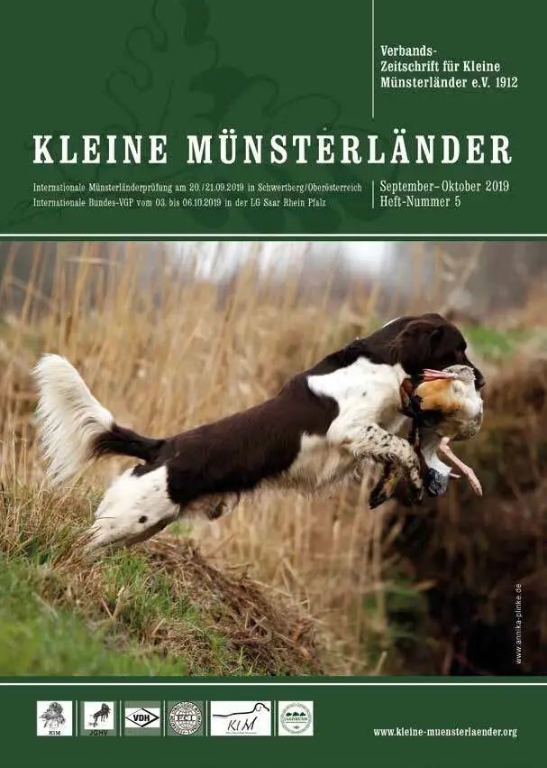 heft 5 2019
