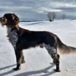img 20220129 wa0015 c