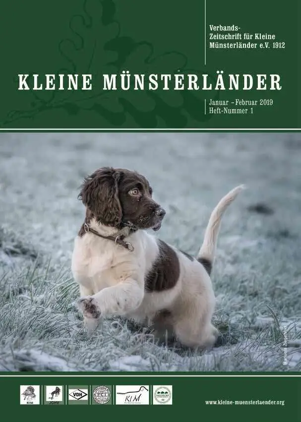klm 1 19 titelbild