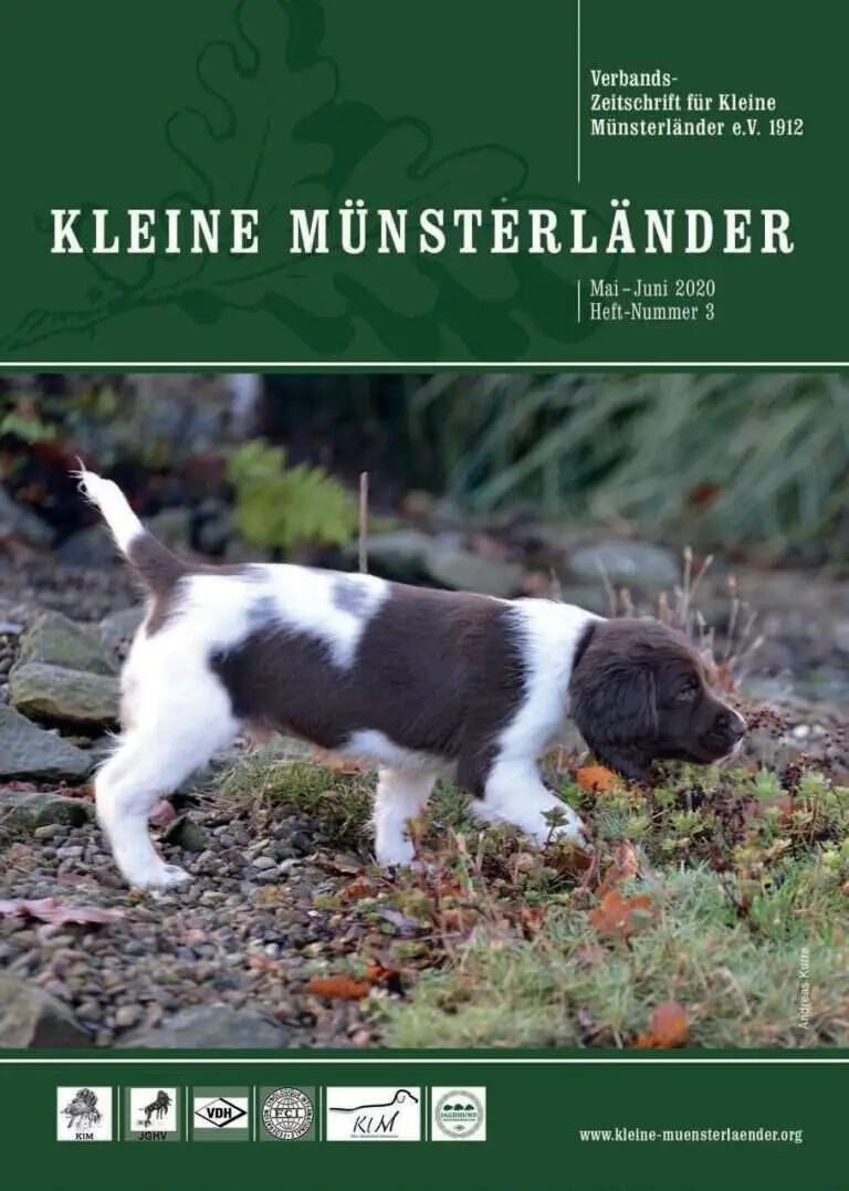 klm 3 20 titelbild