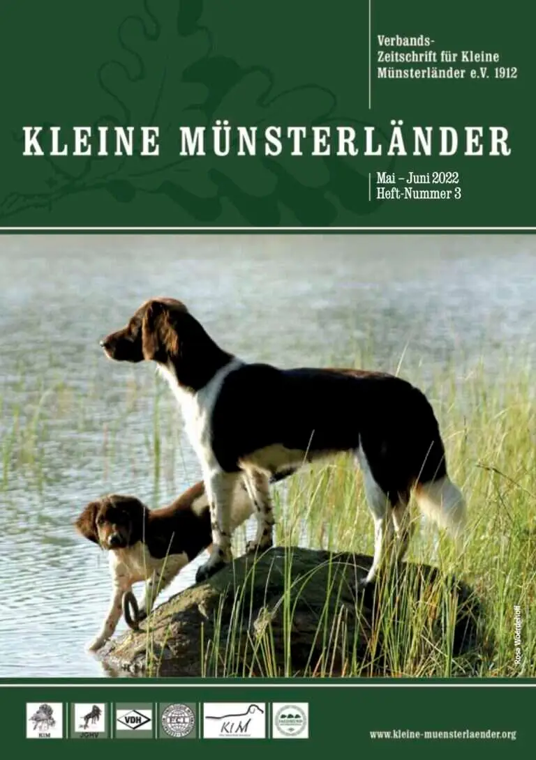 klm 3 22 titel