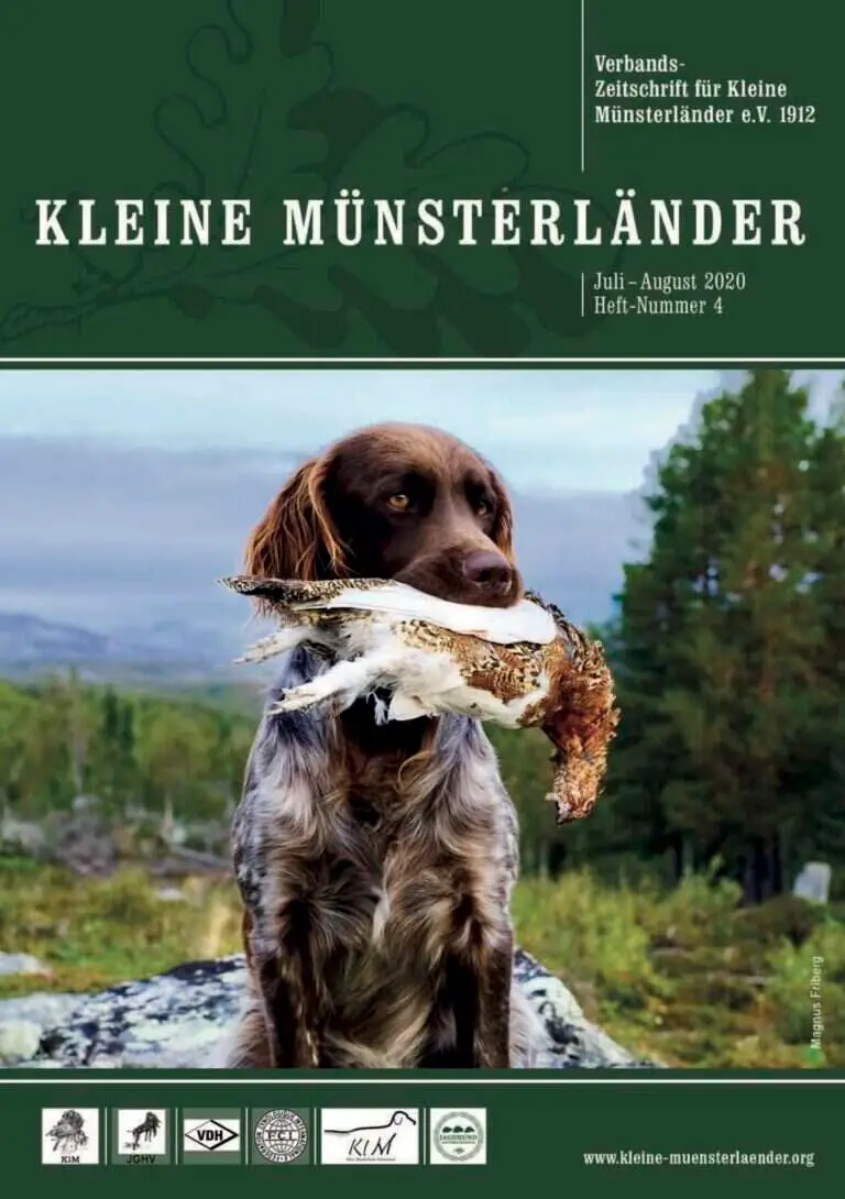 klm 4 20 titel