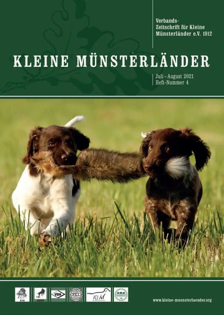 klm 4 21 titelbild