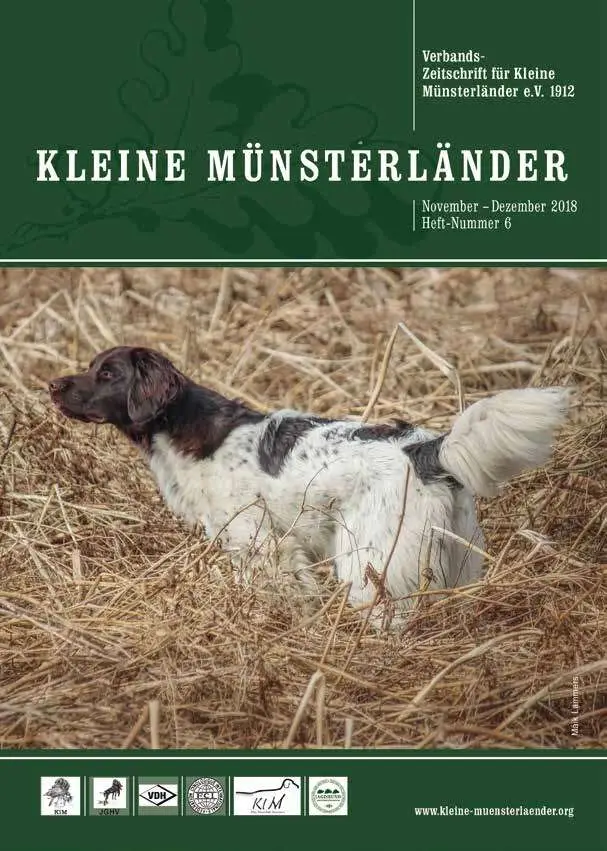 klm 6 18 titelbild