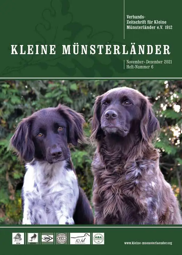 klm 6 21 titelbild