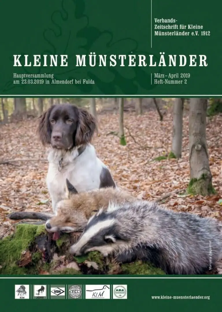 klm 2 19 titelbild