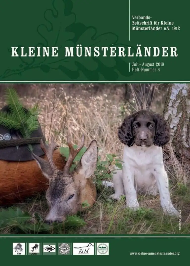klm 4 19 titelbild
