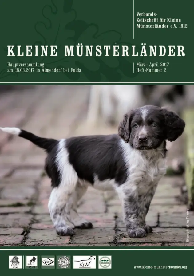 klm titel 2 2017