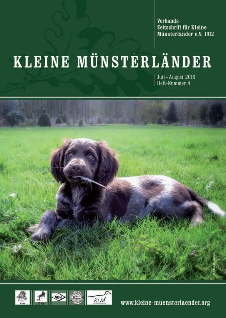 klm titelbild 2016 4