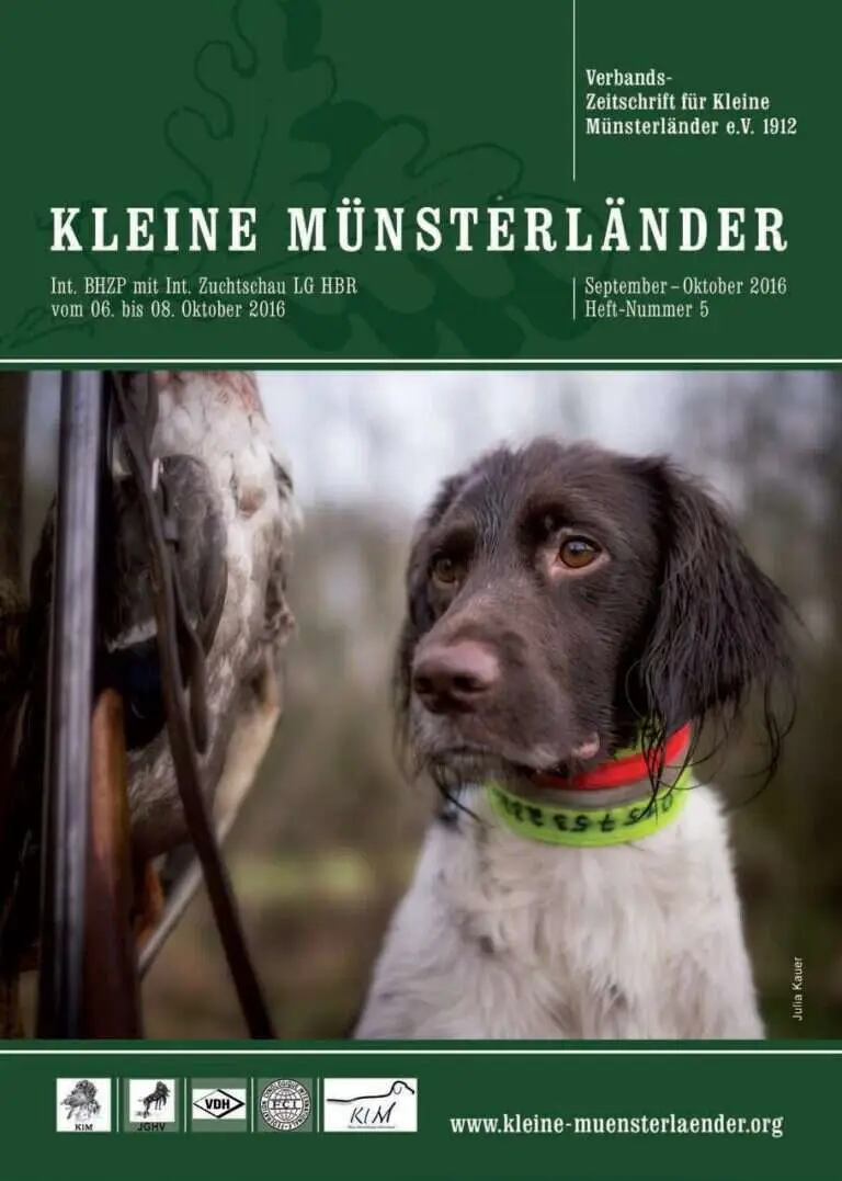 klm titelbild 2016 5