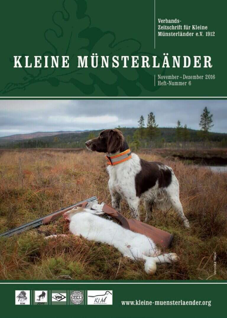 klm titelbild 2016 6