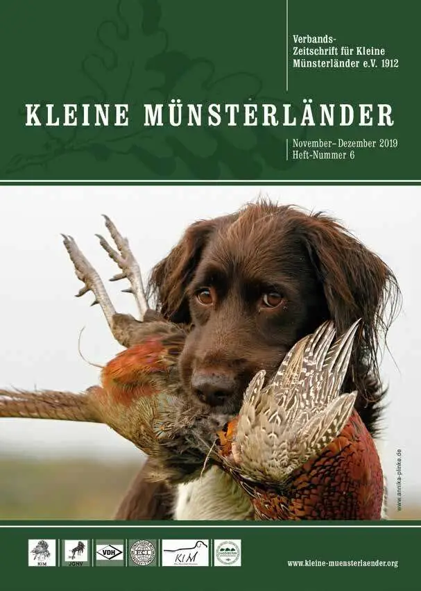 klm titelbild 2019 06
