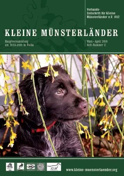titelbild heft 2 2016