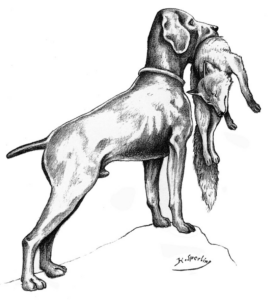 Logo Jagdgebrauchshundverband (JGHV)